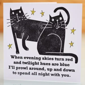cat valentines day card handmade funny blank inside greeting card also birthday anniversary or any occasion