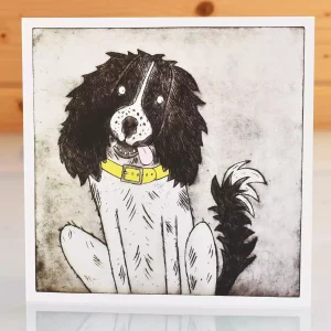 English Springer Spaniel birthday cards or any occasion greeting