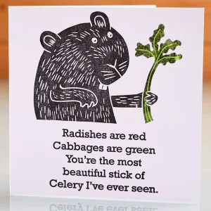 guinea pig card valentine day birthday anniversary any occasion greeting