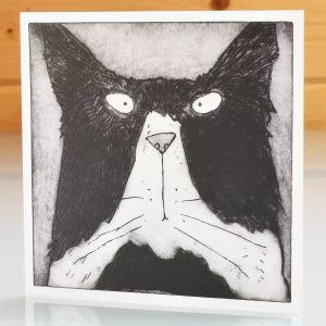 happy birthday card with cats blank inside for any occasion