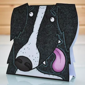 pop up dog card - border collie happy birthday or any occasion greeting