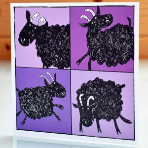 sheep birthday cards happy Herdwick mountain sheep