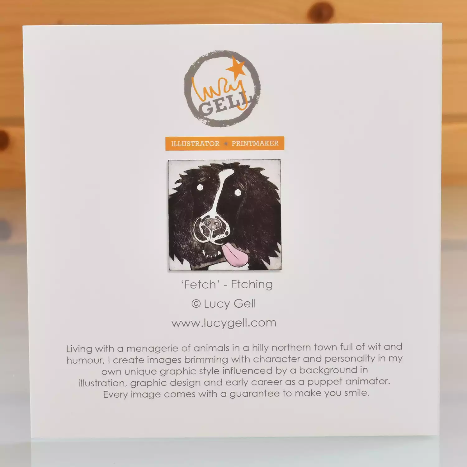 Springer Spaniel card back