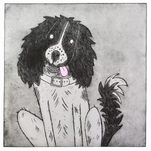 English Springer Spaniel etching print - animal wall art for dog loves & owners