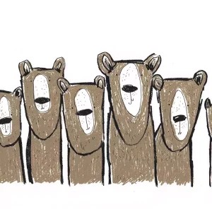 bear stare A3 wall art screen print