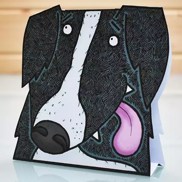 border collie gifts