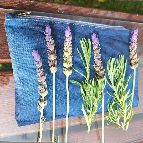 exposing cyanotype onto fabric exposing cyanotype images onto fabric