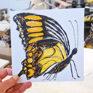 butterfly card